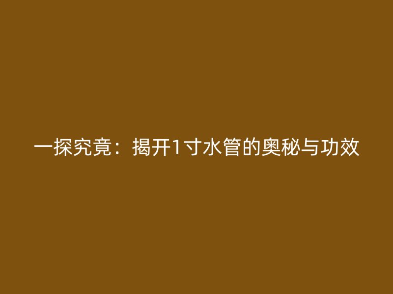 一探究竟:揭開1寸水管的奧秘與功效